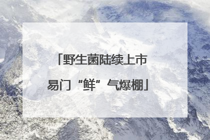 野生菌陆续上市 易门“鲜”气爆棚