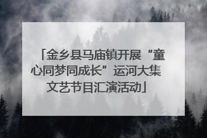金乡县马庙镇开展“童心同梦同成长”运河大集文艺节目汇演活动