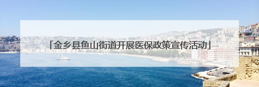 金乡县鱼山街道开展医保政策宣传活动