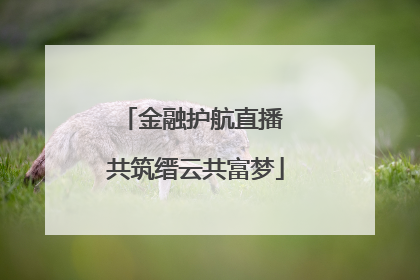 金融护航直播 共筑缙云共富梦
