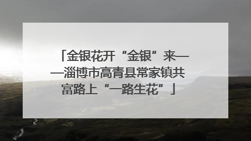 金银花开“金银”来——淄博市高青县常家镇共富路上“一路生花”