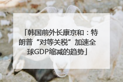 韩国前外长康京和：特朗普“对等关税”加速全球GDP缩减的趋势