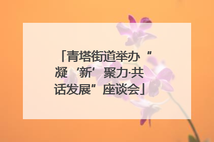青塔街道举办“凝‘新’聚力·共话发展”座谈会