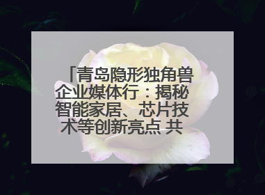 青岛隐形独角兽企业媒体行：揭秘智能家居、芯片技术等创新亮点 共绘科技新篇章