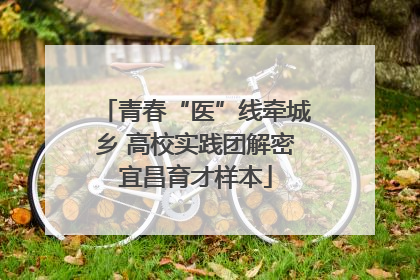 青春“医”线牵城乡 高校实践团解密宜昌育才样本