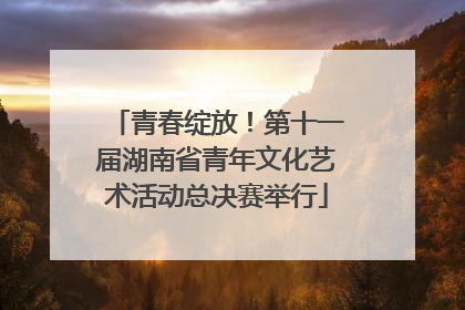 青春绽放！第十一届湖南省青年文化艺术活动总决赛举行