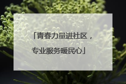 青春力量进社区，专业服务暖民心