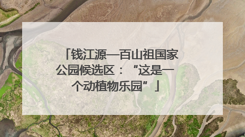钱江源—百山祖国家公园候选区：“这是一个动植物乐园”