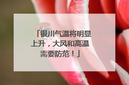 银川气温将明显上升，大风和高温需要防范！