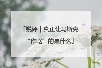 锐评｜真正让马斯克“作呕”的是什么