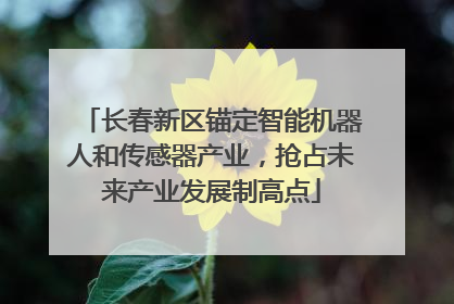 长春新区锚定智能机器人和传感器产业，抢占未来产业发展制高点