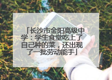 长沙市金阳高级中学：学生食堂吃上了自己种的菜，还出现了一批劳动能手