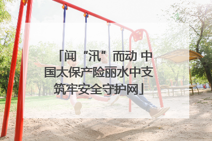 闻“汛”而动 中国太保产险丽水中支筑牢安全守护网