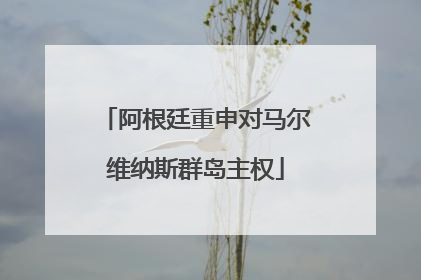 阿根廷重申对马尔维纳斯群岛主权