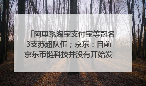 阿里系淘宝支付宝等冠名3支苏超队伍；京东：目前京东币链科技并没有开始发行稳定币｜早资道