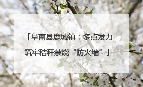 阜南县鹿城镇：多点发力 筑牢秸秆禁烧“防火墙”