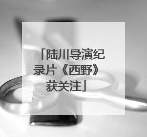 陆川导演纪录片《西野》获关注