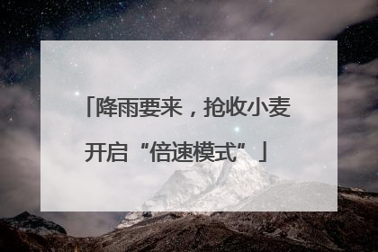 降雨要来，抢收小麦开启“倍速模式”