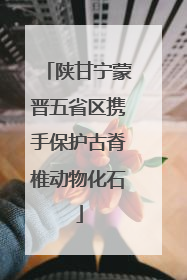 陕甘宁蒙晋五省区携手保护古脊椎动物化石
