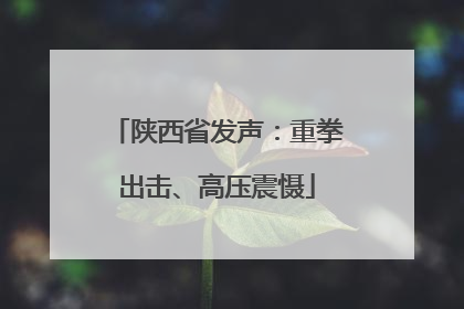 陕西省发声：重拳出击、高压震慑