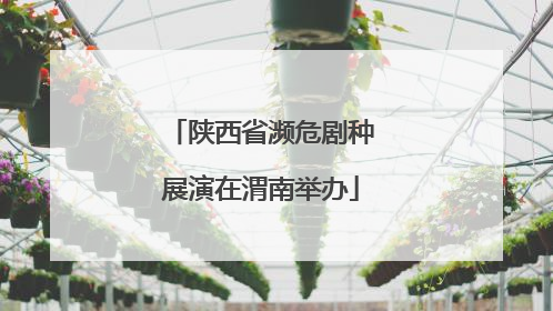 陕西省濒危剧种展演在渭南举办