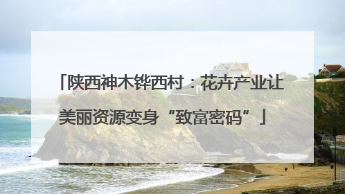 陕西神木铧西村：花卉产业让美丽资源变身“致富密码”