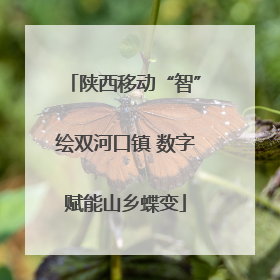 陕西移动“智”绘双河口镇 数字赋能山乡蝶变