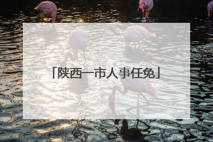 陕西一市人事任免