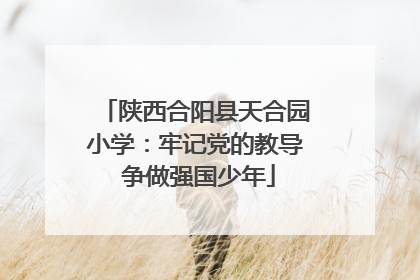 陕西合阳县天合园小学：牢记党的教导 争做强国少年