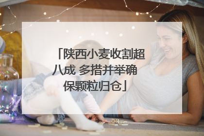陕西小麦收割超八成 多措并举确保颗粒归仓