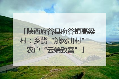 陕西府谷县府谷镇高梁村：乡货“触网出村” 农户“云端致富”