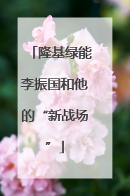 隆基绿能李振国和他的“新战场”