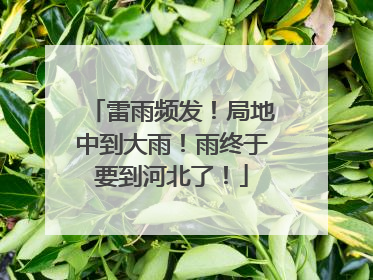 雷雨频发！局地中到大雨！雨终于要到河北了！