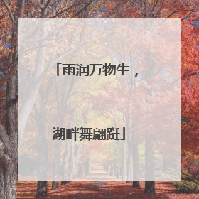 雨润万物生，湖畔舞翩跹
