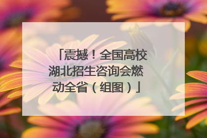 震撼！全国高校湖北招生咨询会燃动全省（组图）