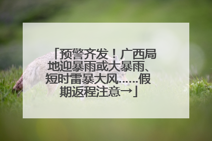 预警齐发！广西局地迎暴雨或大暴雨、短时雷暴大风……假期返程注意→