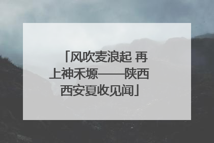 风吹麦浪起 再上神禾塬——陕西西安夏收见闻