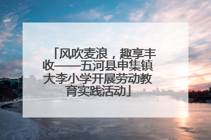 风吹麦浪，趣享丰收——五河县申集镇大李小学开展劳动教育实践活动