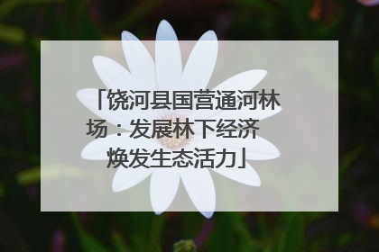 饶河县国营通河林场：发展林下经济 焕发生态活力