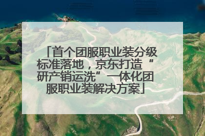 首个团服职业装分级标准落地，京东打造“研产销运洗”一体化团服职业装解决方案
