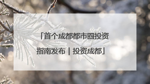 首个成都都市圈投资指南发布｜投资成都