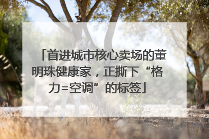 首进城市核心卖场的董明珠健康家，正撕下“格力=空调”的标签