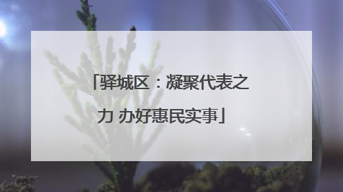 驿城区：凝聚代表之力 办好惠民实事