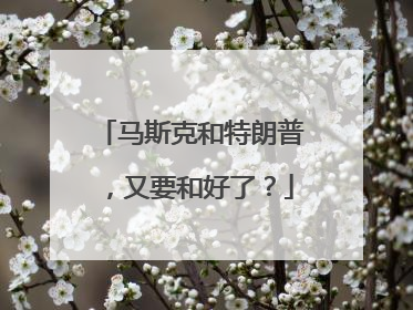 马斯克和特朗普，又要和好了？