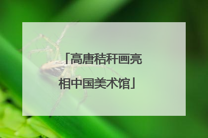 高唐秸秆画亮相中国美术馆