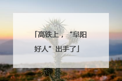 高铁上，“阜阳好人”出手了