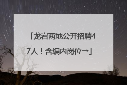 龙岩两地公开招聘47人！含编内岗位→