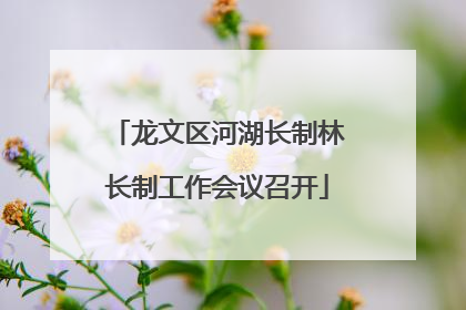 龙文区河湖长制林长制工作会议召开