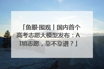 鱼眼·围观丨国内首个高考志愿大模型发布：AI填志愿，靠不靠谱？