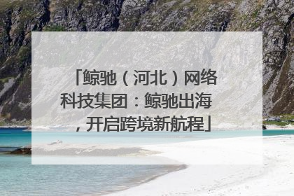鲸驰（河北）网络科技集团：鲸驰出海，开启跨境新航程